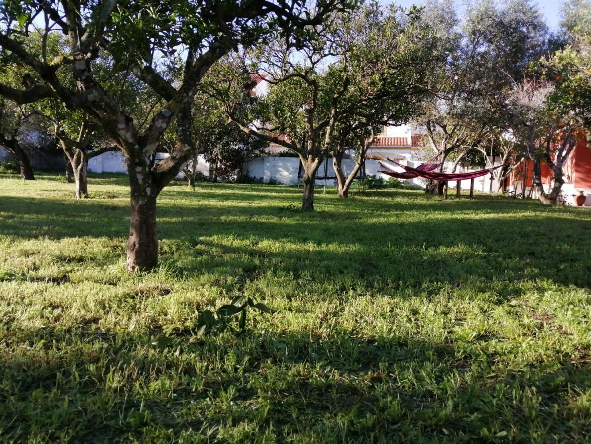 Casa Das Laranjeiras E Parque Infantil Azeitao Kültér fotó